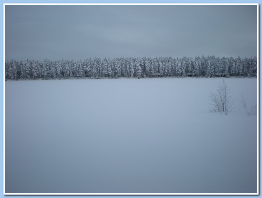 kuvatvalkealampi 175